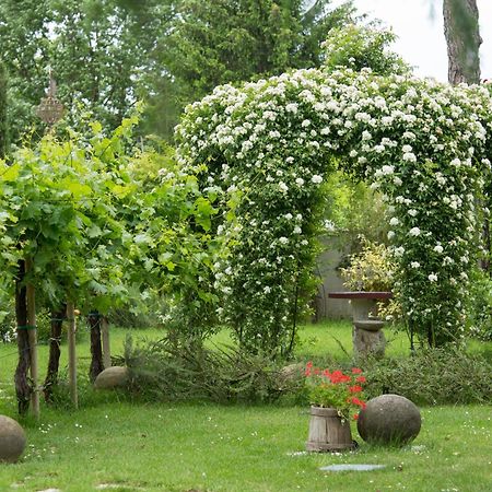 Ca'Bevilacqua Bed&Breakfast Bertinoro Exterior photo