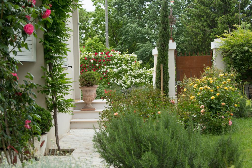 Ca'Bevilacqua Bed&Breakfast Bertinoro Exterior photo