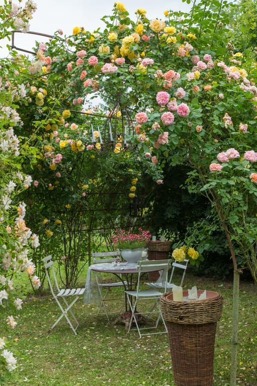Ca'Bevilacqua Bed&Breakfast Bertinoro Exterior photo